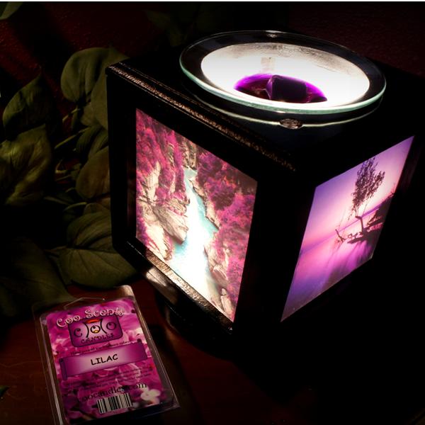 Electric Wax Melt Warmers and Accessories