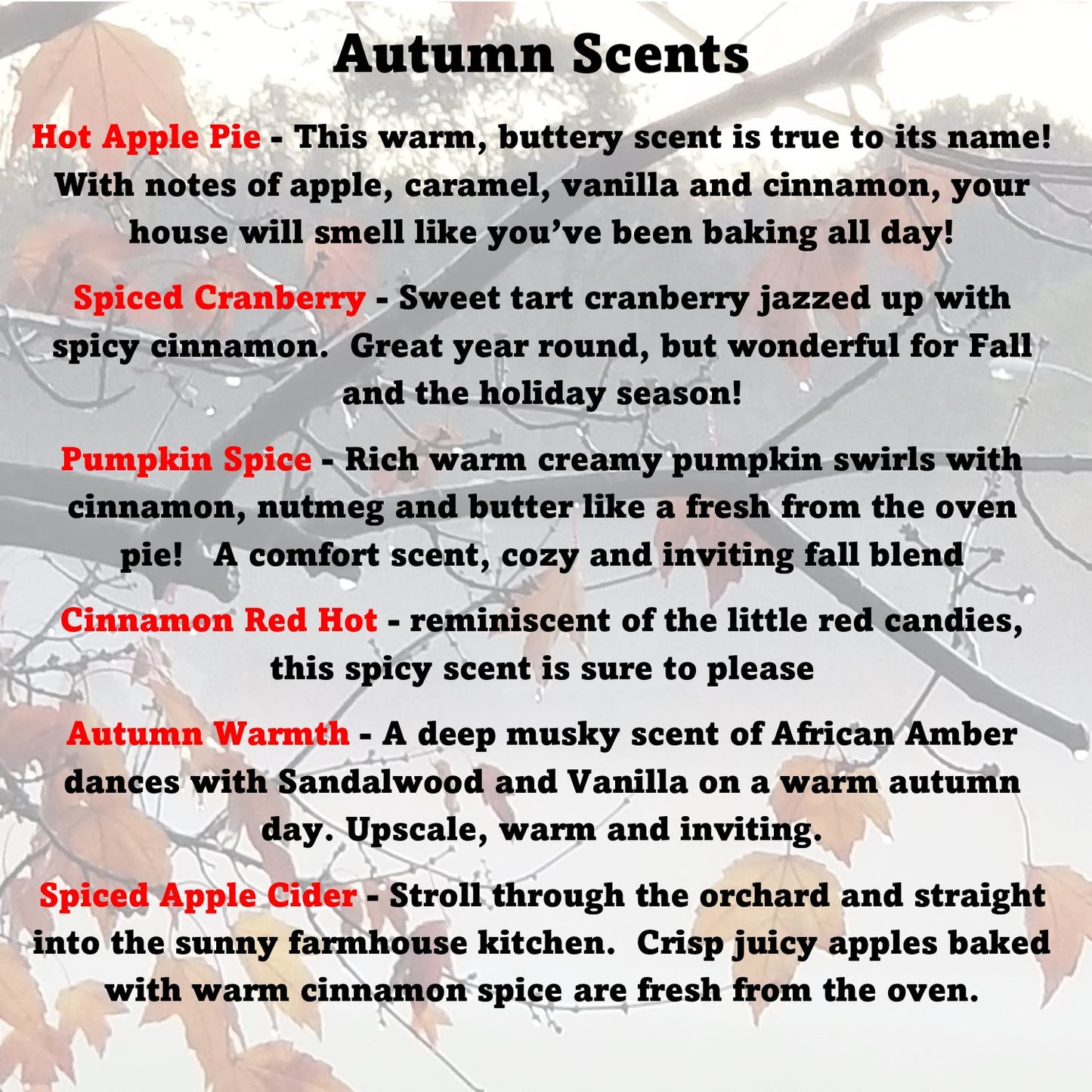 "Autumn" Wax Melts 6 Pack