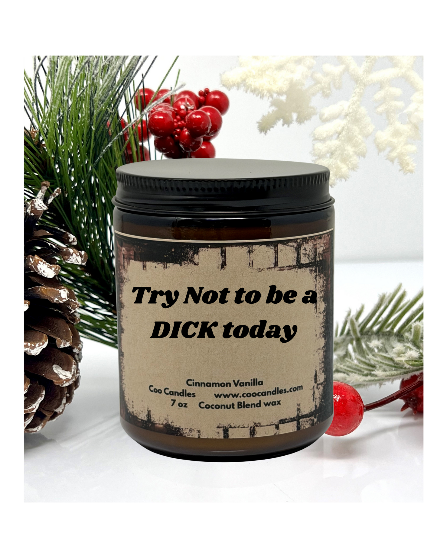 Try Not To Be A Dick - Cinnamon Vanilla Scented Coconut Blend Jar Candle - 7 oz