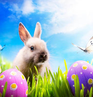 Easter Bunny Theme Photo Set